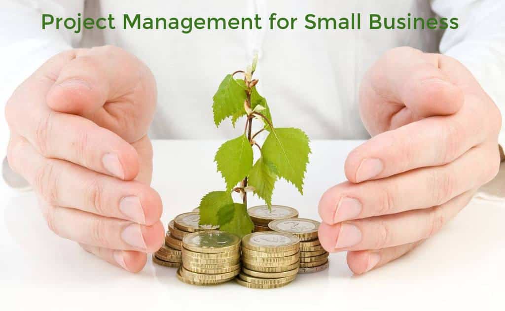 the-role-of-project-management-in-a-small-business-nutcache