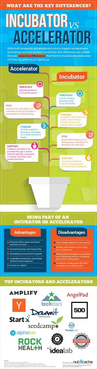 incubator vs accelerator